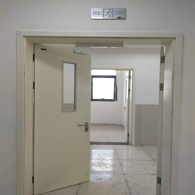 新疆无损检查防护门